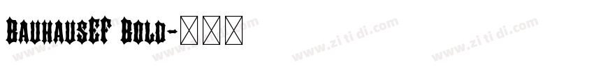 BauhausEF Bold字体转换